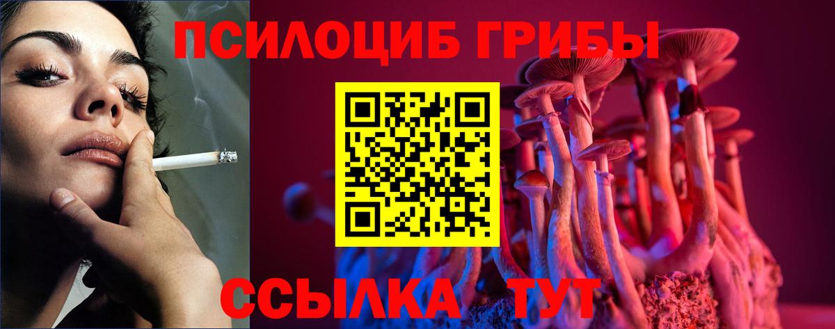 Ступино  Псилоцибиновые грибы Cubensis  Вход с VPN 